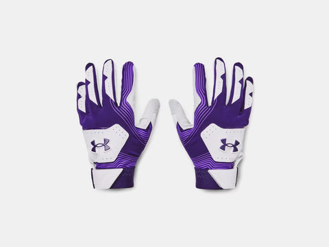 Youth Under Armour Batting Gloves