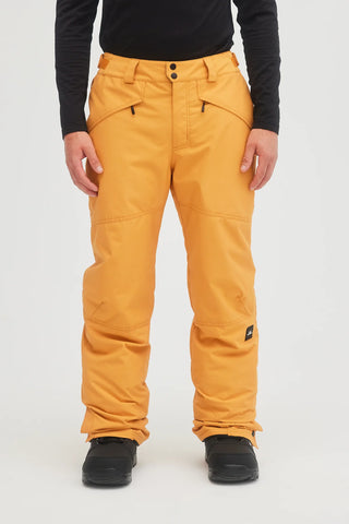Mens O'Neill Insulated Ski Pants