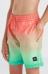 Youth Boys O'Neill Cali Swim Short