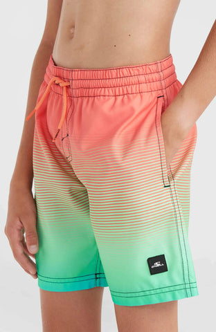 Youth Boys O'Neill Cali Swim Short