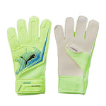 Puma Goalie Gloves