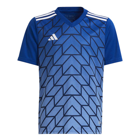 Kids Adidas Icon Soccer Jersey