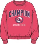 Womens Champion Crew Sweater (Size Small Only)