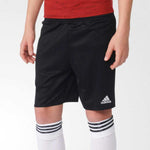 Kids Adidas Shorts (Extra Small Only)