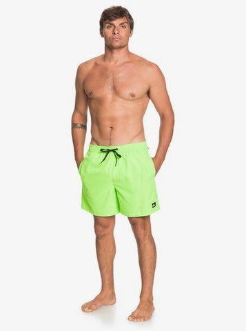 Quiksilver Everyday Boardshorts