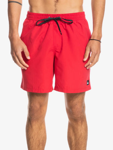 Quiksilver Everyday Boardshorts